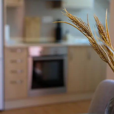 Gara Malpica, Terraza Al Mar Lägenhet *